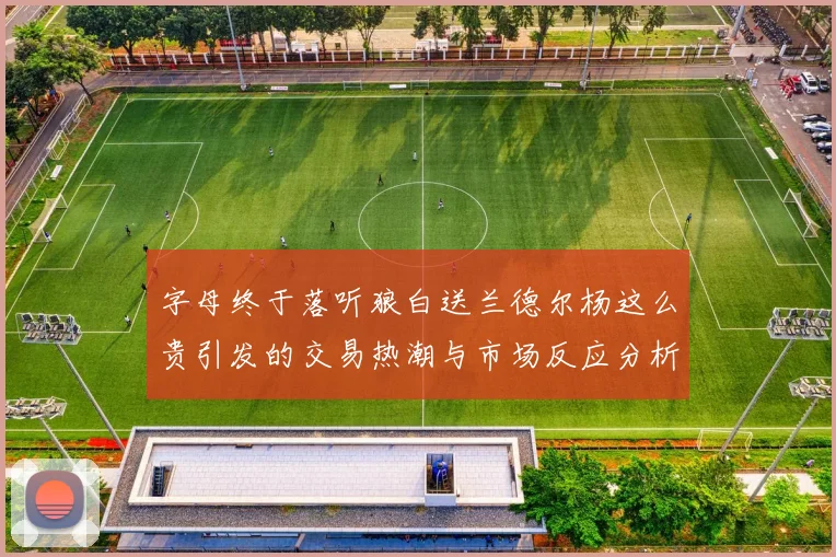 字母终于落听狼白送兰德尔杨这么贵引发的交易热潮与市场反应分析
